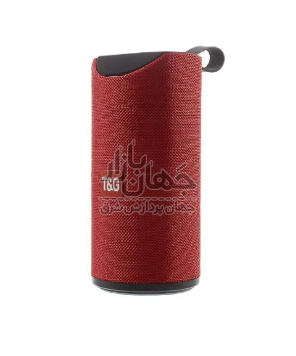 اسپیکر بلوتوثی قابل حمل تی اند جی مدل Tg-113