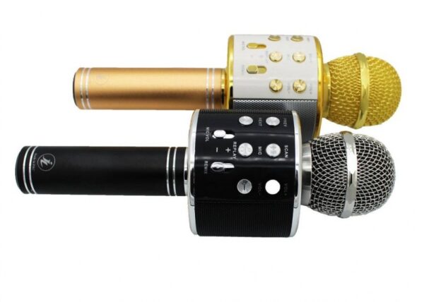 اسپیکر بلوتوث میکروفون دار  مدل ws-858 - Image 2
