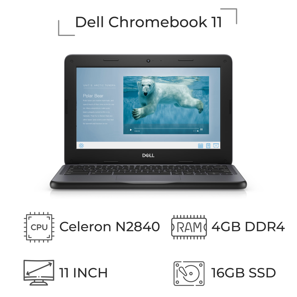 لپ تاپ استوک کروم‌بوک Dell Chromebook 11