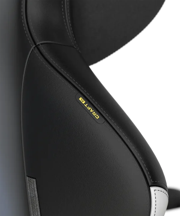 صندلی گیمینگ دی ایکس ریسر DXRacer Craft Pro Classic – Black/white