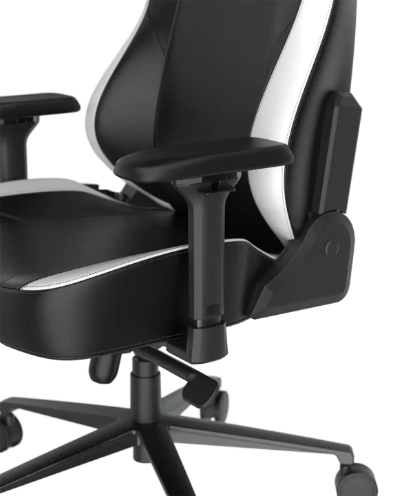 صندلی گیمینگ دی ایکس ریسر DXRacer Craft Pro Classic – Black/white