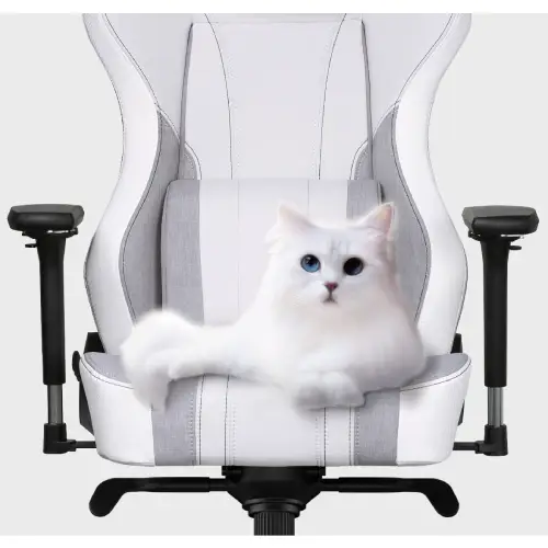 CoolerMaster Caliber X2C GRAY-WHITE